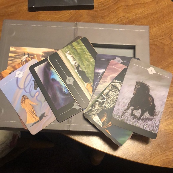 Way Of The Horse Book and 40 Cards for Self-Discovery - Picture 8 of 17